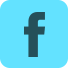 fb-icon